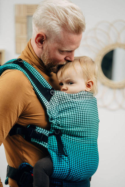 Lenny Lamb Baby carrier: LennyUpGrade Fairytale