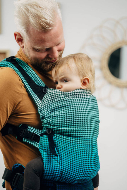 Lenny Lamb Baby carrier: LennyUpGrade Fairytale