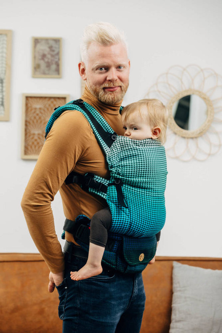 Lenny Lamb Baby carrier: LennyUpGrade Fairytale