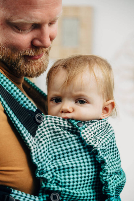 Lenny Lamb Baby carrier: LennyUpGrade Fairytale