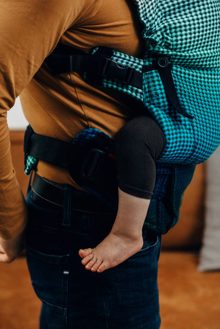Lenny Lamb Baby carrier: LennyUpGrade Fairytale