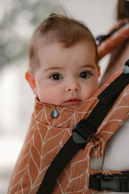 Baby carrier Kavka MultiAge Pro: Hazelnut Braid (No Cotton)