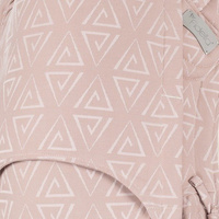 Nosidełko Fidella FlyClick Plus Paperclips Aschrose - Toddler