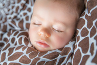 Bamboo Muslin Square LennyLamb - Cheetah Brown&Cream