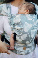 Nosidełko LennyHybrid - Viridiflora: Ash