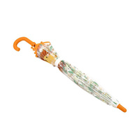 SASSI – Children’s Rain Umbrella – Lion