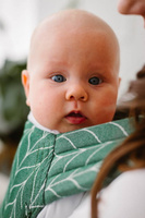 Half Buckle Kavka Handy: Fern Eucalyptus