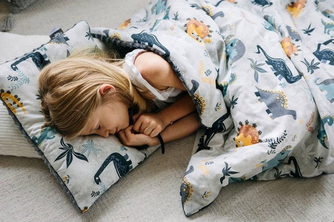 Kocyk Minky (Dinozaury Szare) 100cm x 135cm