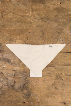 Cotton Birdseye “Airplane” Diaper
