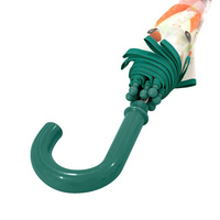 SASSI – Children’s Rain Umbrella – Fox