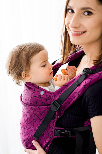 Kavka MultiAge Magnetic: Aubergine Braid 2024