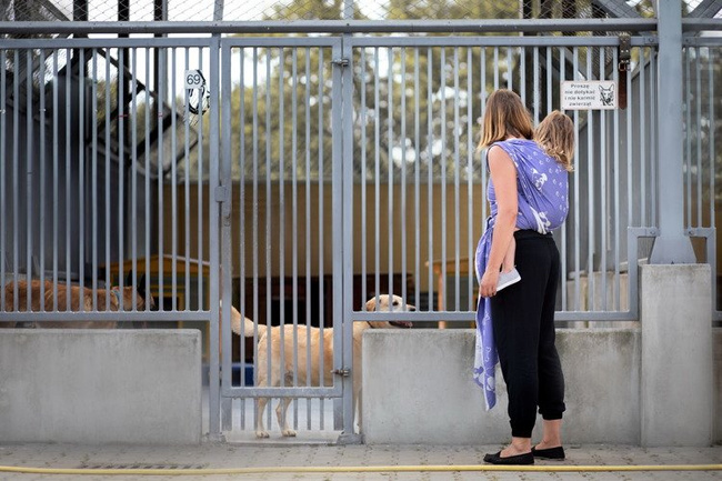 Chusta tkana EverySlings Wrrrap me Skye