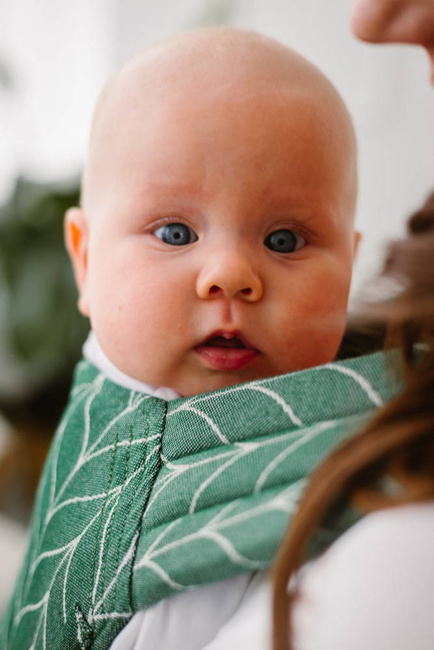 Nosidełko Kavka Handy: Fern Braid