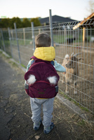 Plecak dziecięcy - Travel Bear Stars Maroon