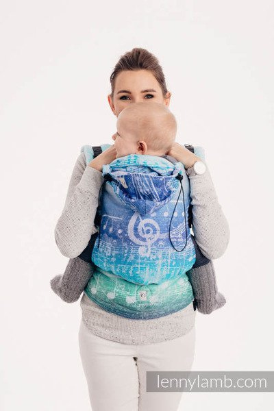 Lenny Lamb Nosidełko Ergonomiczne Symfonia Zorza Polarna