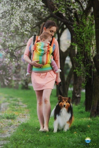 Nosidełko ergonomiczne Little Frog - Słoneczny Labradoryt