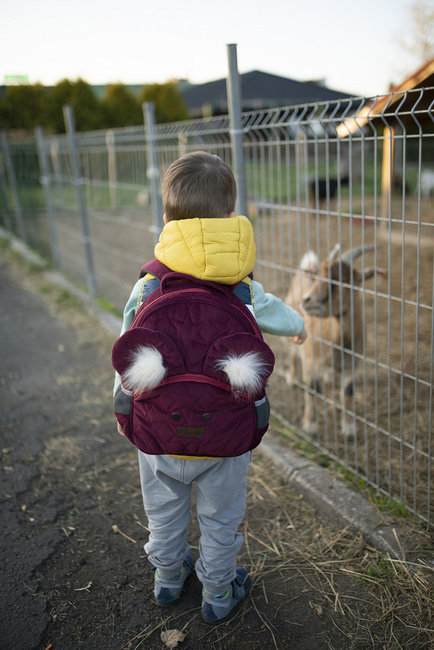 Plecak dziecięcy - Travel Bear Stars Maroon