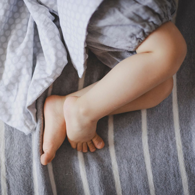 Zaffiro - Alba Cotton Blanket 75x100 grey